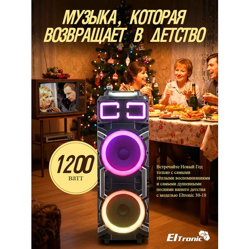 Беспроводная колонка ELtronic 30-18 Crazy Box, Bluetooth, 2 динамика 10