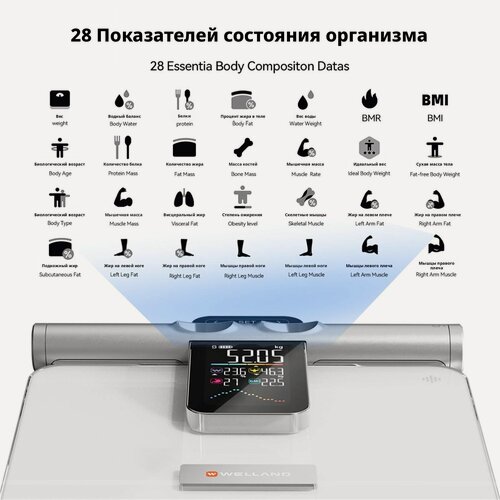 Изображение товара Умные напольные весы с Bluetooth и измерением жира Смарт-весы диагностические для тела 28 параметровдо 180 кгИМТ белое