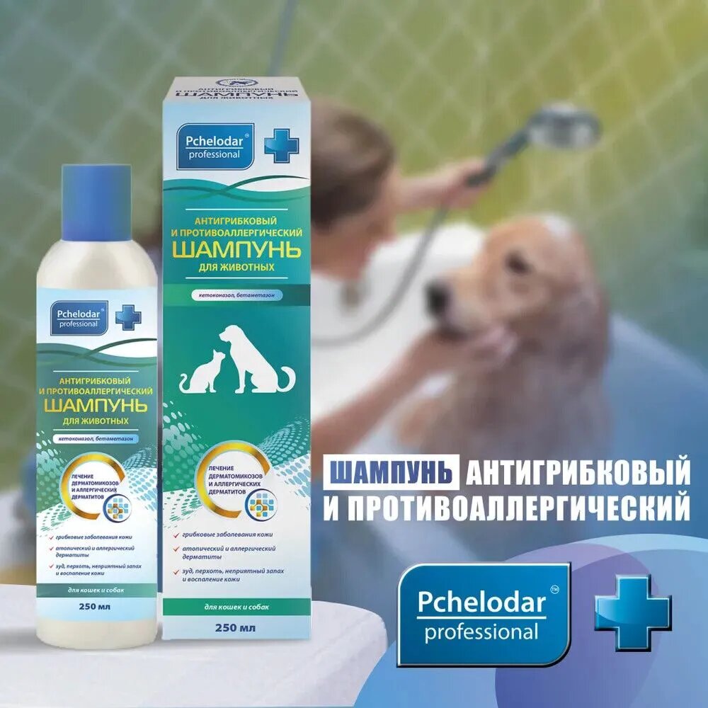 Изображение Шампунь Пчелодар антигрибковый и противоаллергический для собак и кошек, 250 мл
