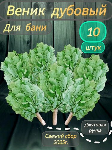 Изображение товара Дубовый веник для бани (10шт) джутовая ручка, свежий сбор 2025г.