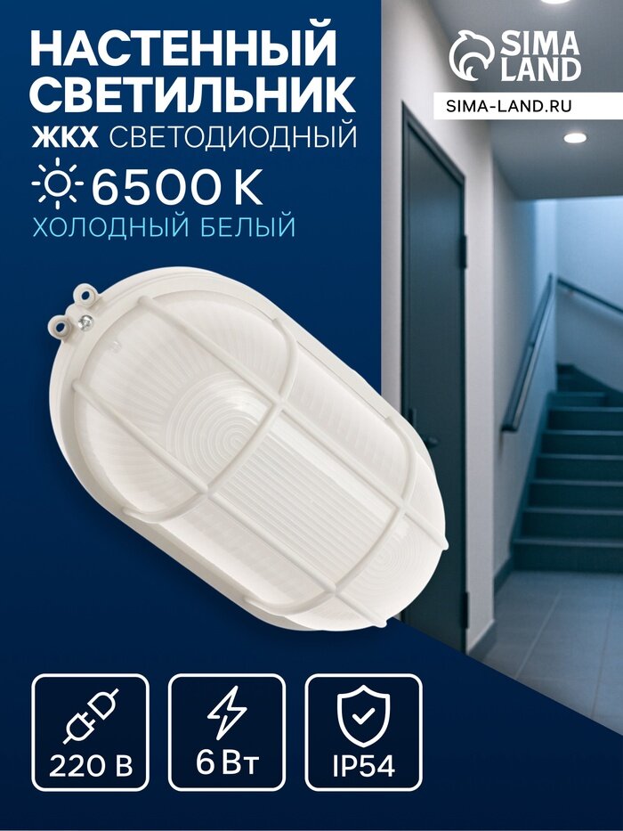Светильник ЖКХ светодиодный 6 Вт IP54 6500К 220В овал пластик белый