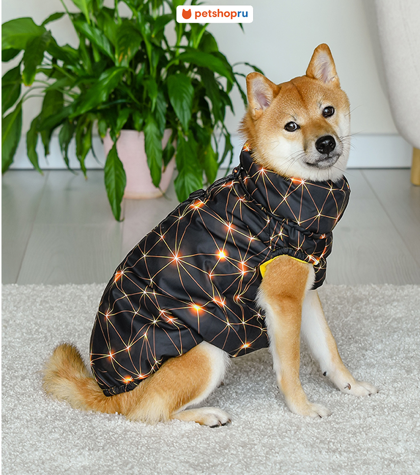 Tappi одежда Жилет "Пандора" для собак, размер L, спинка 38 см