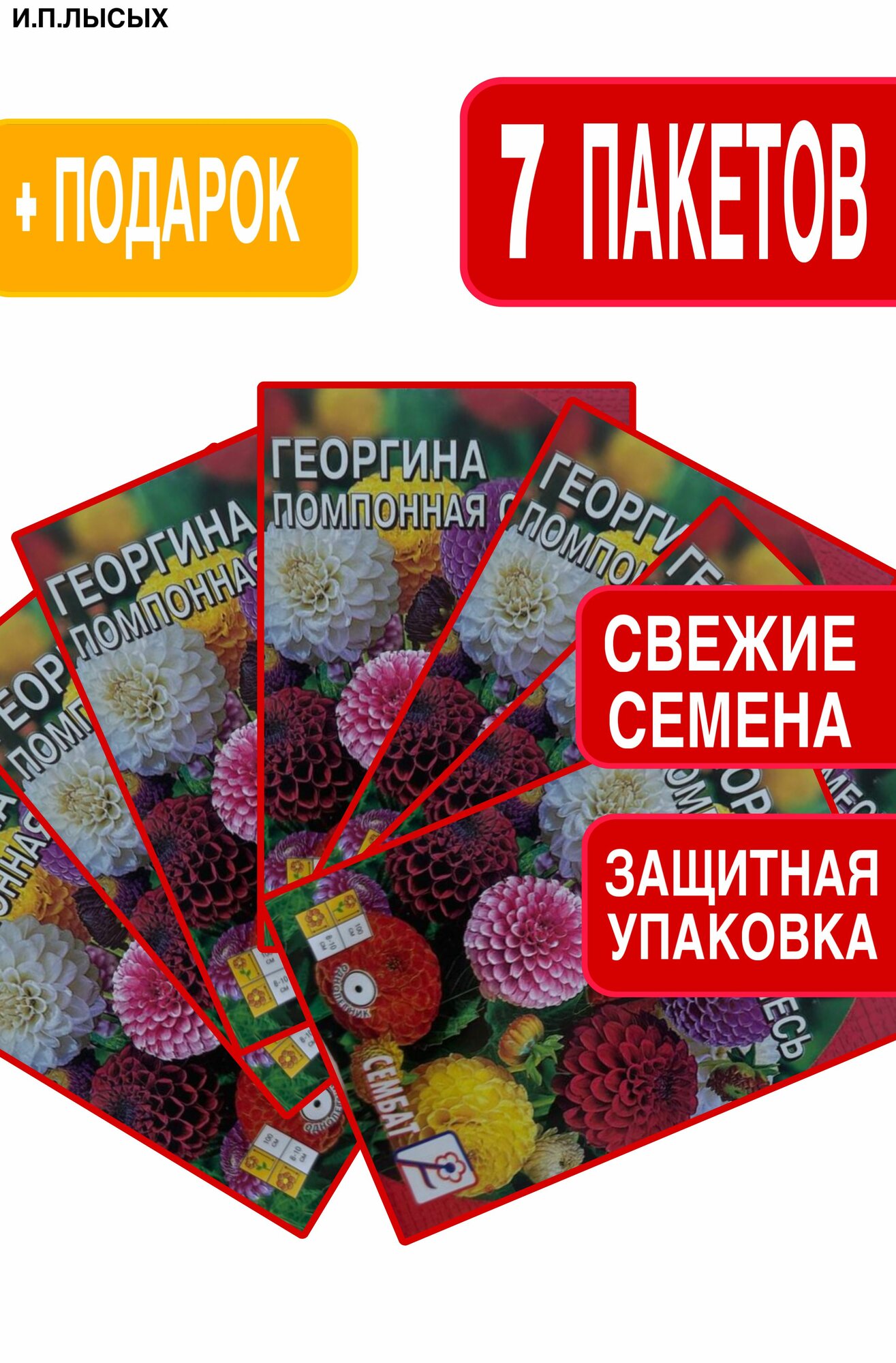 Семена Георгина 