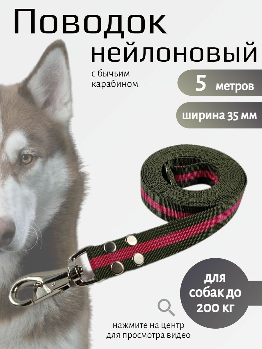 Поводок Хвостатыч для собак крупных пород с усиленным бычьим карабином нейлон 5 м х 35 мм (зелено-красный)