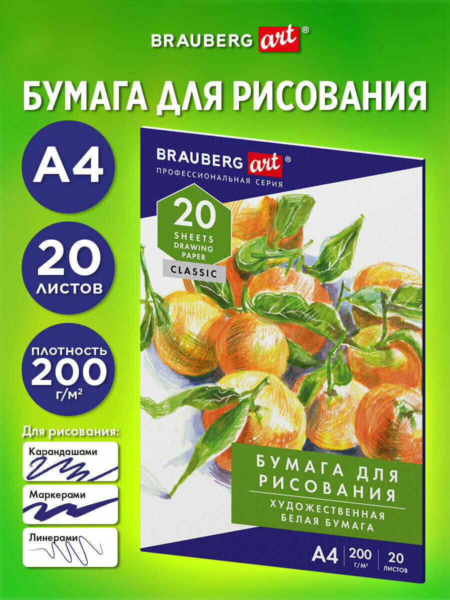 Бумага А4 для рисования черчения скетчинга и нейрографики художественная 20 л 200 г/м2 Brauberg Натюрморт 115637