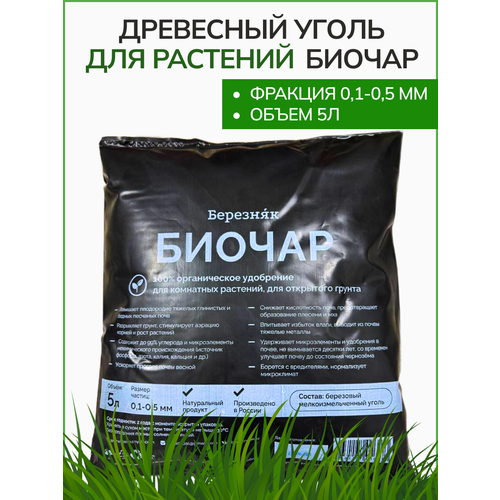 Биочар древесный уголь березняк 5л мелкозернистый