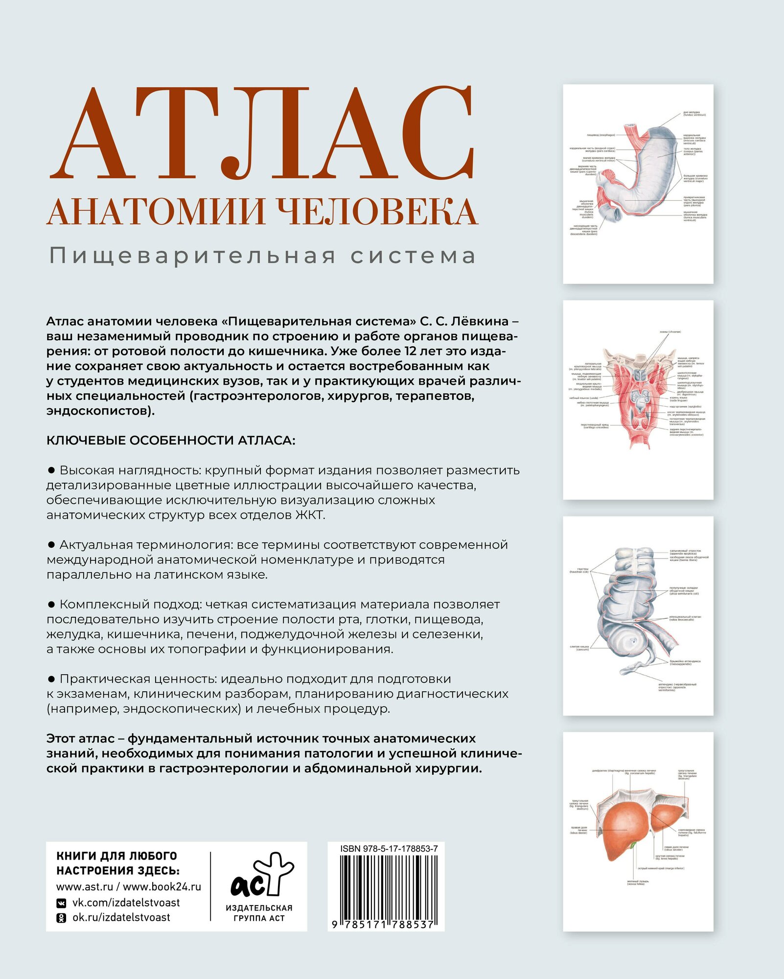 Атлас анатомии человека. Пищеварительная система — фото 1