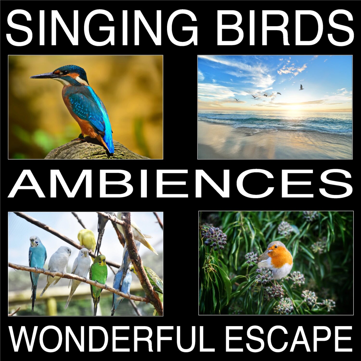 Singing Birds Ambiences, Wonderful Escape [Аудиокнига]