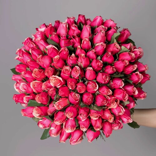 Изображение товара Букет из темно-розовых роз 101 шт Высота 40 см Премиум от "Простоцветы"