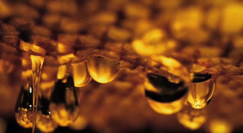 Мёд Замин Мёд натуралные — фото 1