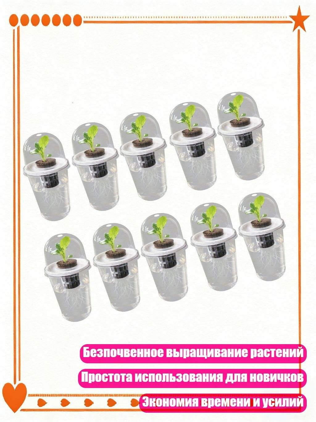 Прозрачная ёмкость для проращивания растений, 10 комплектов