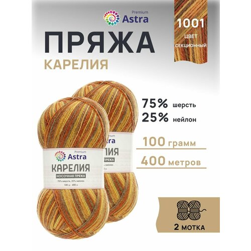 фото Пряжа для вязания astra premium 'карелия' носочная (karelia sock), 100г, 400м (75% шерсть, 25% нейлон) (1001), 2 мотка