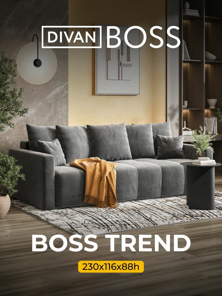 Диван раскладной BOSS TREND, прямой, в гостиную, велюр MONOLIT Серый, 230x116x88 см