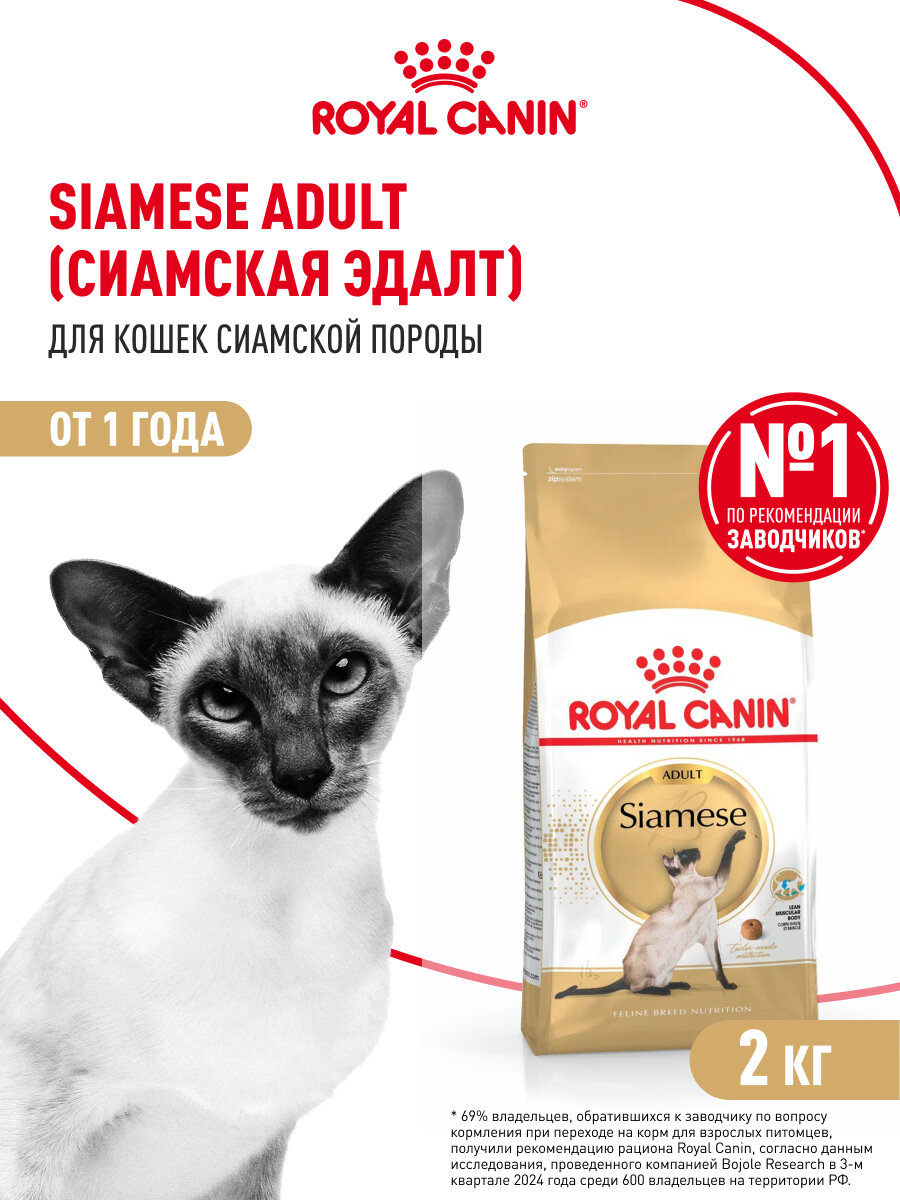 Картинки Сухой корм для кошек Royal Canin Adult для сиамской породы, 2 кг