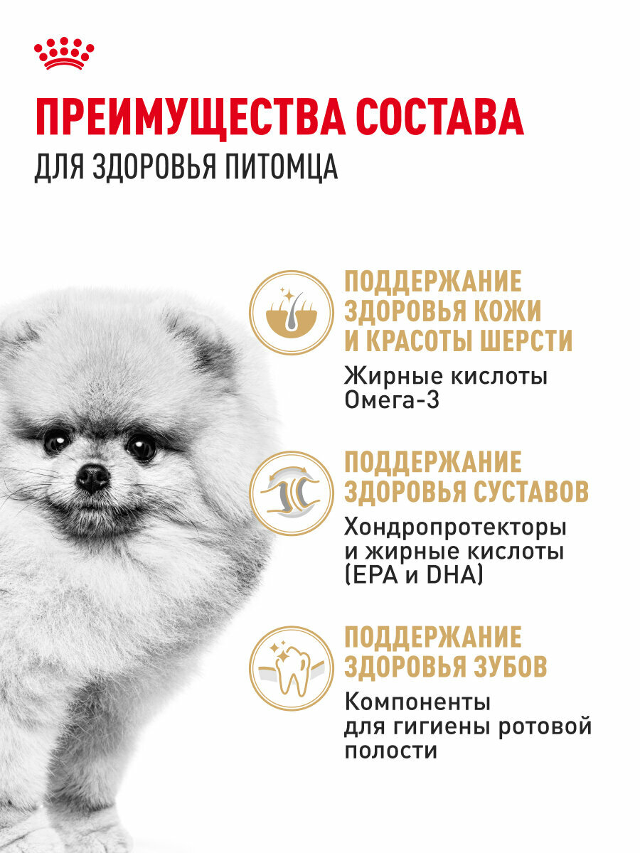Сухой корм для собак Royal Canin Adult для породы померанский шпиц, 1,5 кг — фото 1