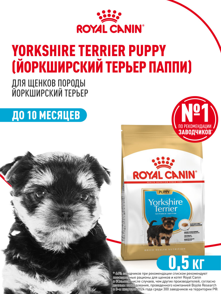 Сухой корм для щенков Royal Canin Puppy для породы йоркширский терьер, 0,5 кг — фото 1