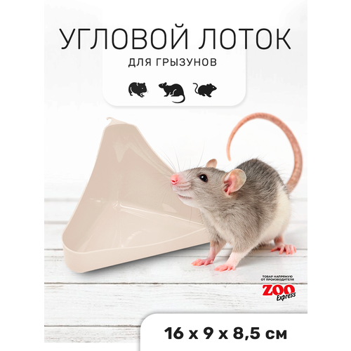 фото Zooexpress туалет лоток для грызунов угловой в клетку 16х9х8,5см (бежевый)