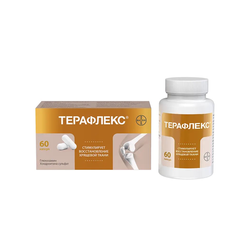 Терафлекс капсулы 500 мг+400 мг 60 шт