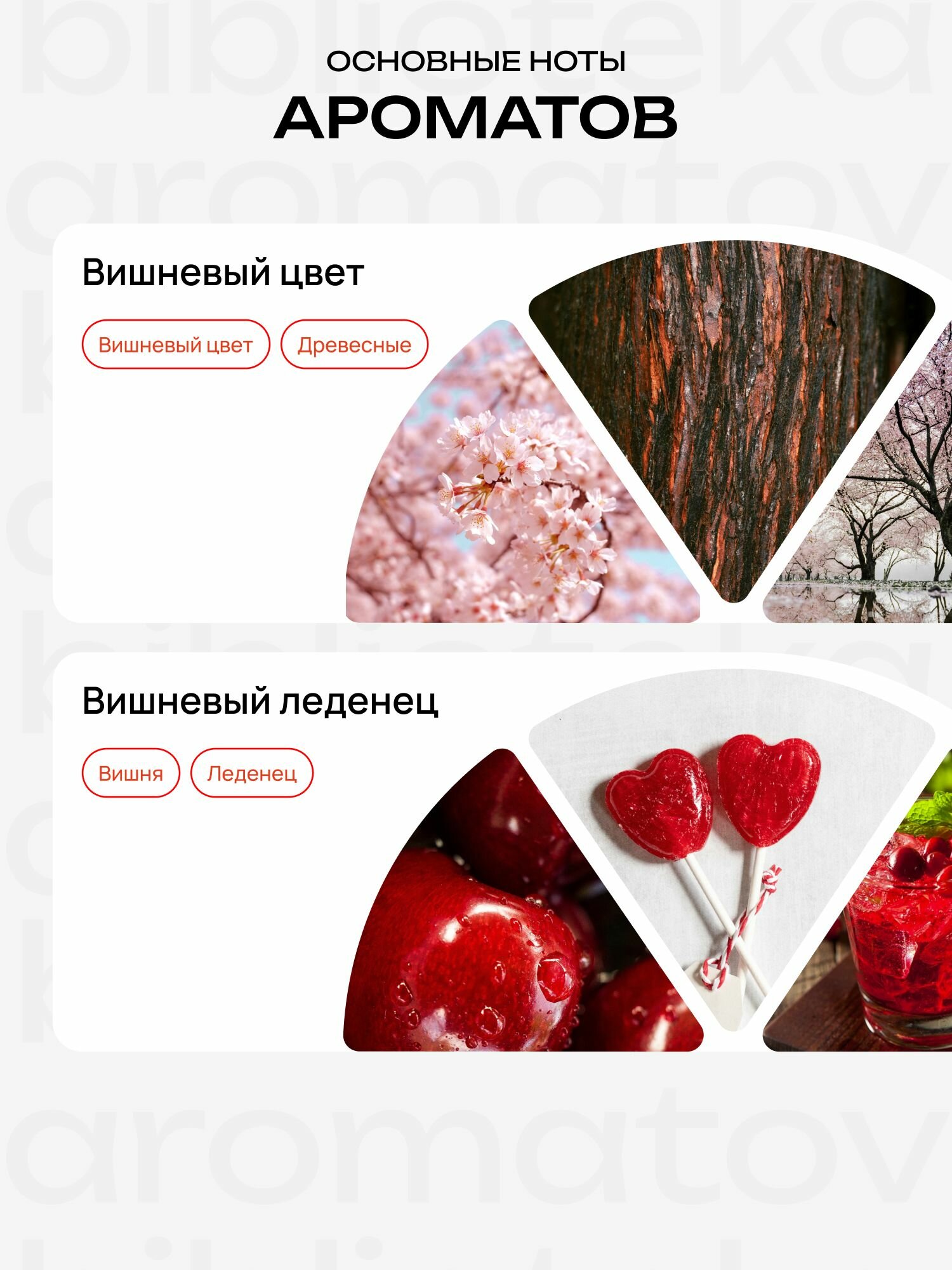 Библиотека ароматов подарочный набор пробников Вишневый аромабокс 10 миниатюр по 1,5 мл — фото 1