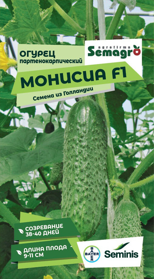 SEMINIS Набор семян три сорта : Огурец Монисиа F1 Меренга F1 Мадейра F1 3 пак. по 5 шт.