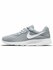 Кроссовки NIKE Tanjun