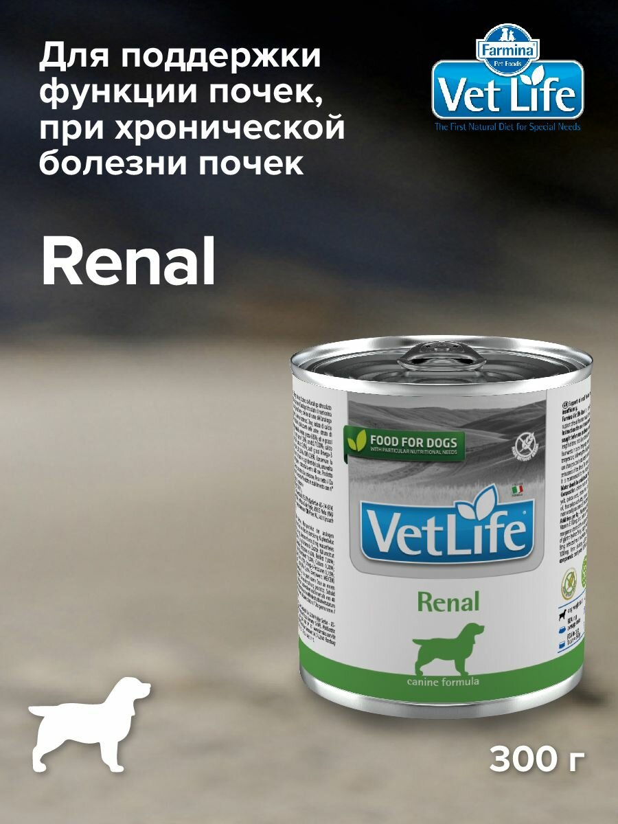Диетический влажный корм Farmina Vet Life Dog Renal с курицей для собак при болезни почек и почечной недостаточности 300гр
