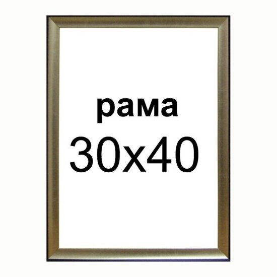 Багетная рама Декарт 30 40 крз3 п1 21102