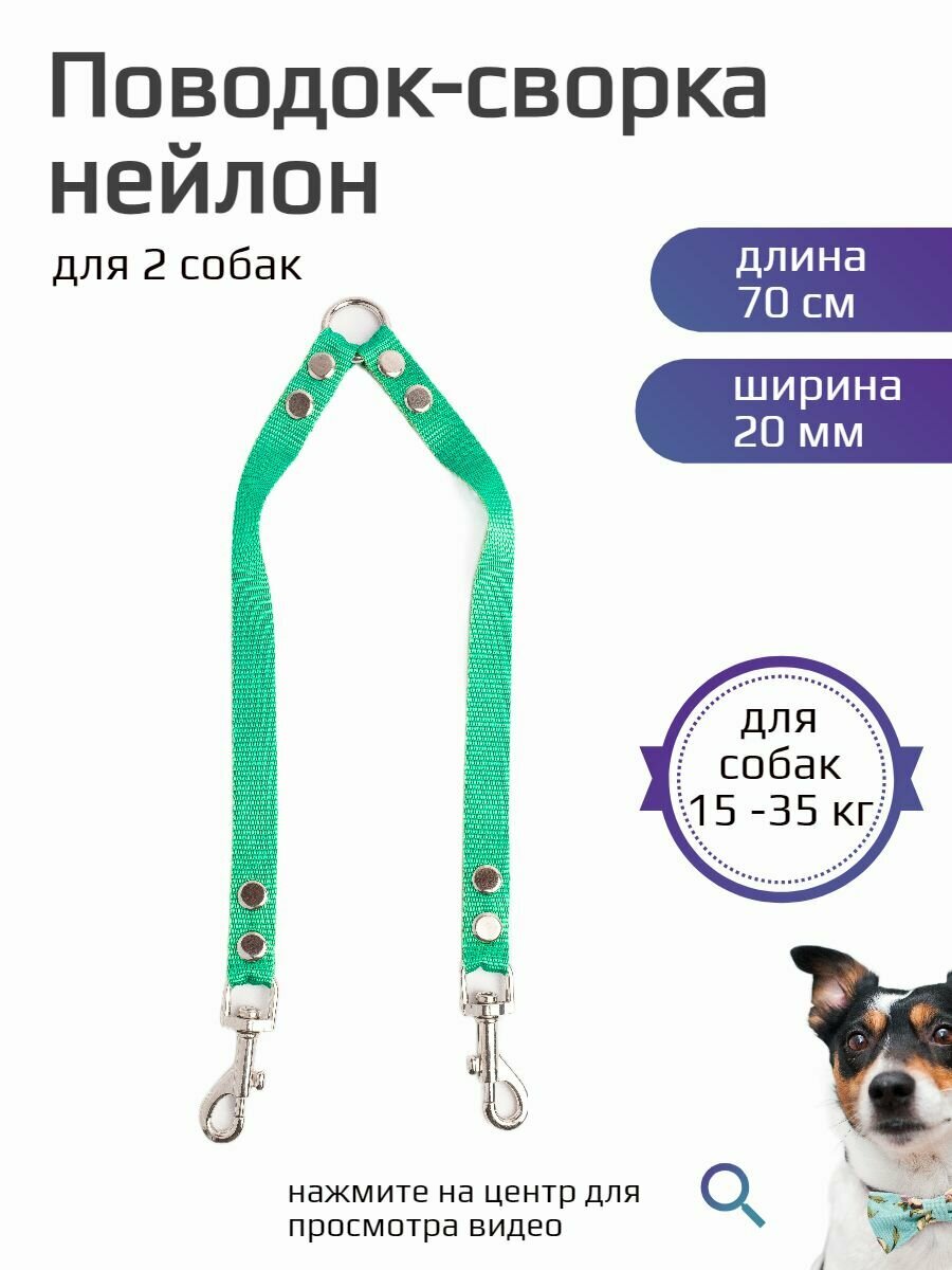 Сворка Хвостатыч для двух собак нейлон 70 см х 20 мм (бирюзовый)
