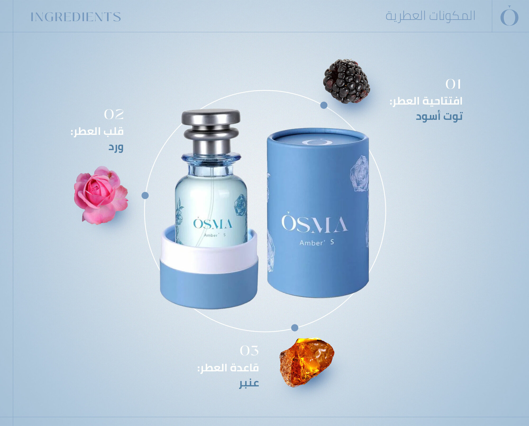 Парфюмированная вода Osma Amber Tradition, унисекс, восточный цветочный аромат, 75мл, в подарочной упаковке