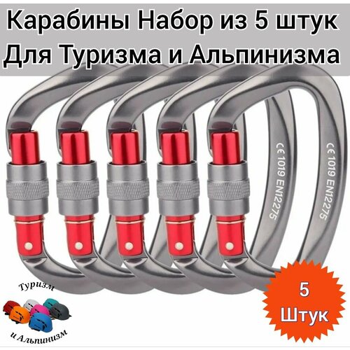 Набор карабинов PAINTER, для туризма и альпинизма, авиационный алюминий, 5 шт.