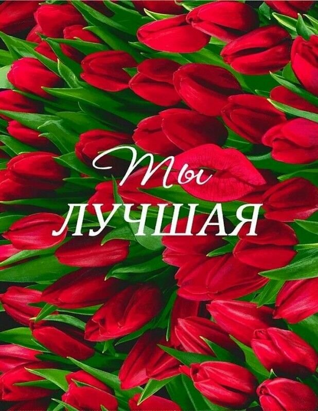 Кухонное полотенце Вафельное с петелькой для подвешивания 50*63 см "Ты лучшая-Тюльпаны!" в подарок на День Рождения, на 8 марта из 100% хлопка