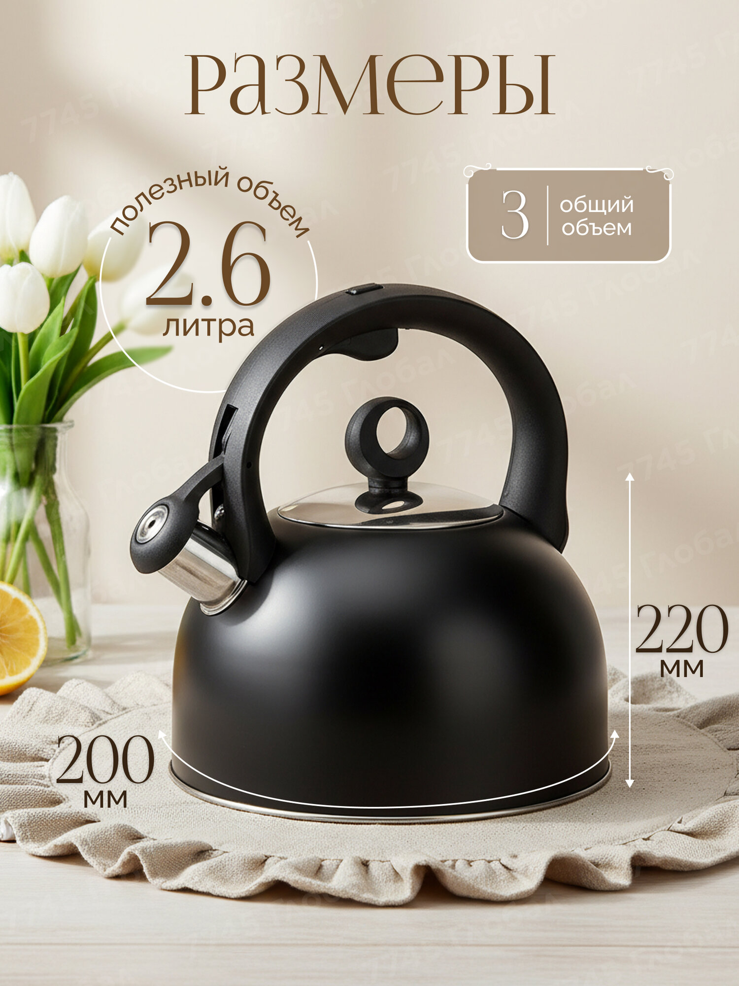 Чайник со свистком PERFECTO LINEA Eclipse 3 л 52-034303 нержавеющая сталь, черный, для всех типов плит — фото 1