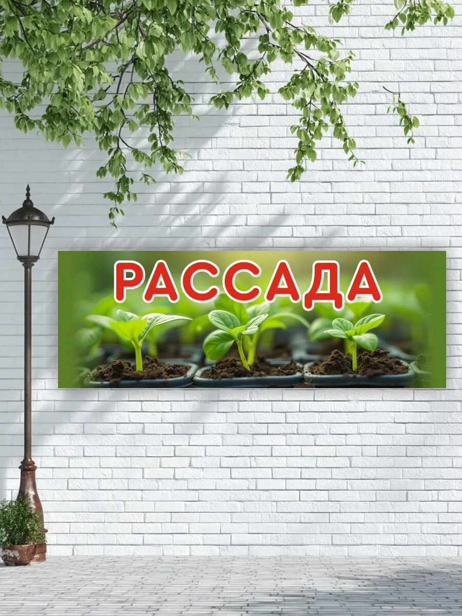 Баннер "Рассада" с люверсами — фото 1