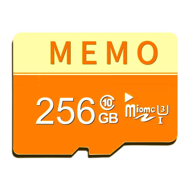 Совместимая с Insta360 GO 3/GO 3S и X5/X4/X3 видеокамерами карта памяти MicroSD 256GB для экшн-видео