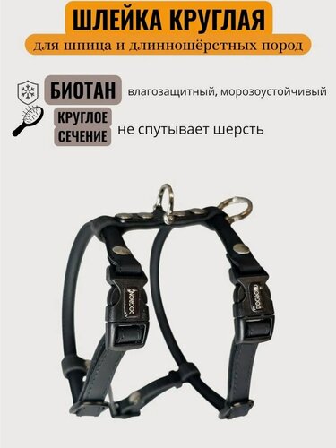 Изображение товара Шлейка Dogbond для шпица и собак мелких пород круглая из биотана