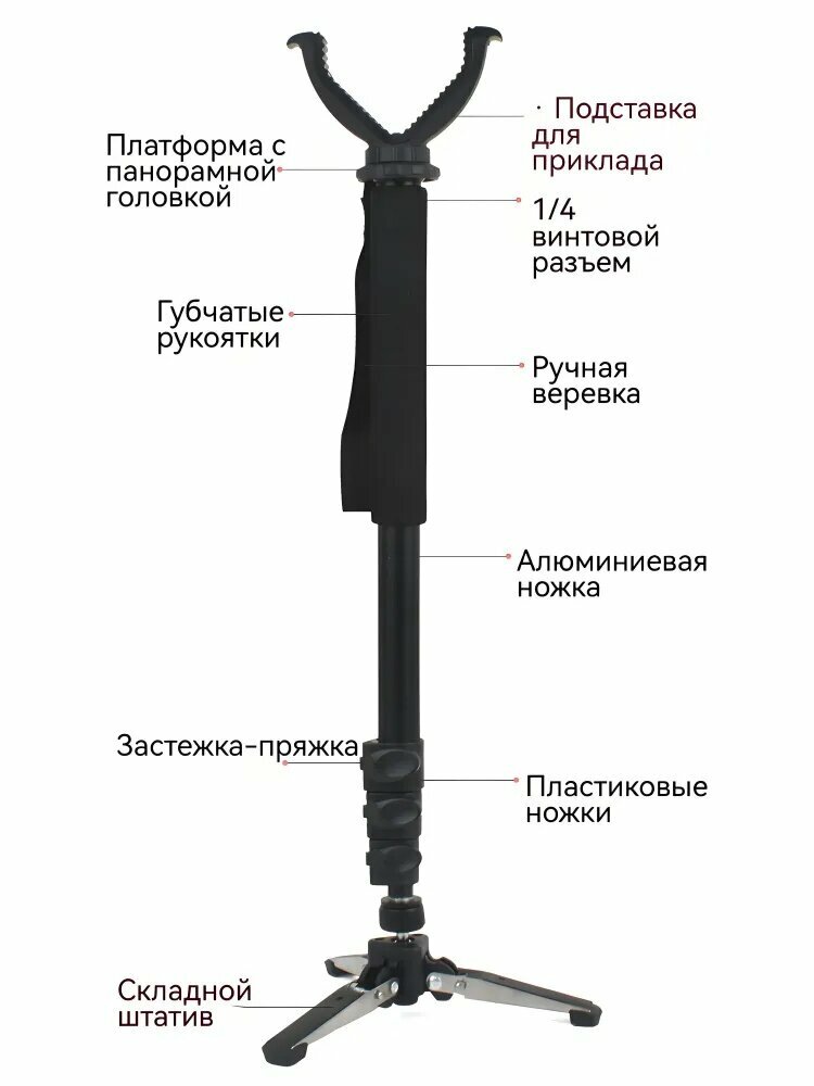 Медальоны для охотничьих трофеев — фото 1