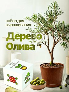 Основная фотография от вендора