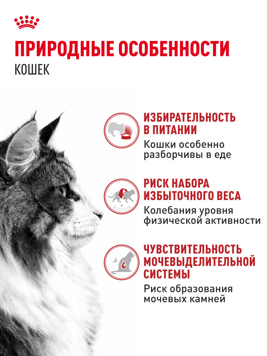Влажный корм для кошек Royal Canin Instinctive в соусе, 28 шт по 85 г — фото 1