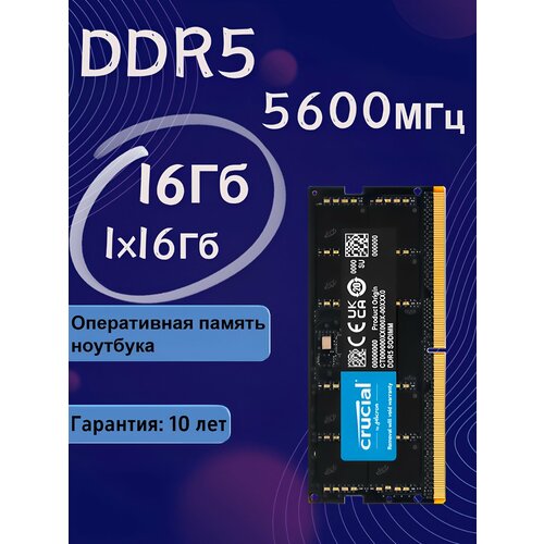 Crucial Модуль памяти ноутбука 5600mhz 216GB32GB yrd 56266₽