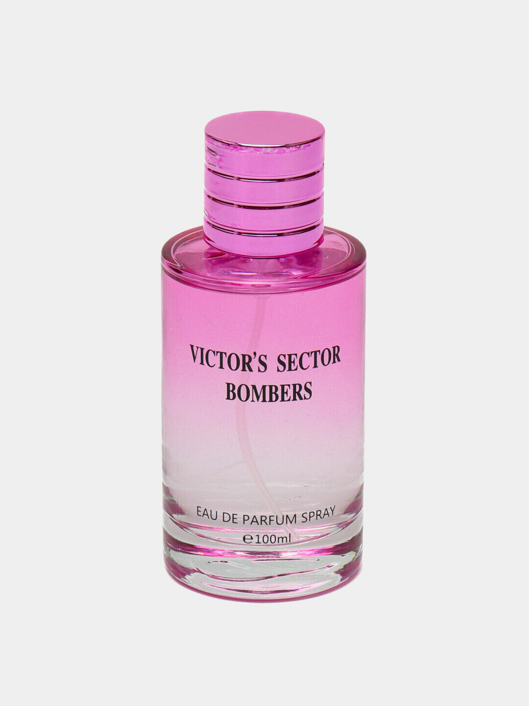 Парфюмерная вода Victor's Sector Bombers, 100 мл, EAU DE PARFUM — фото 1