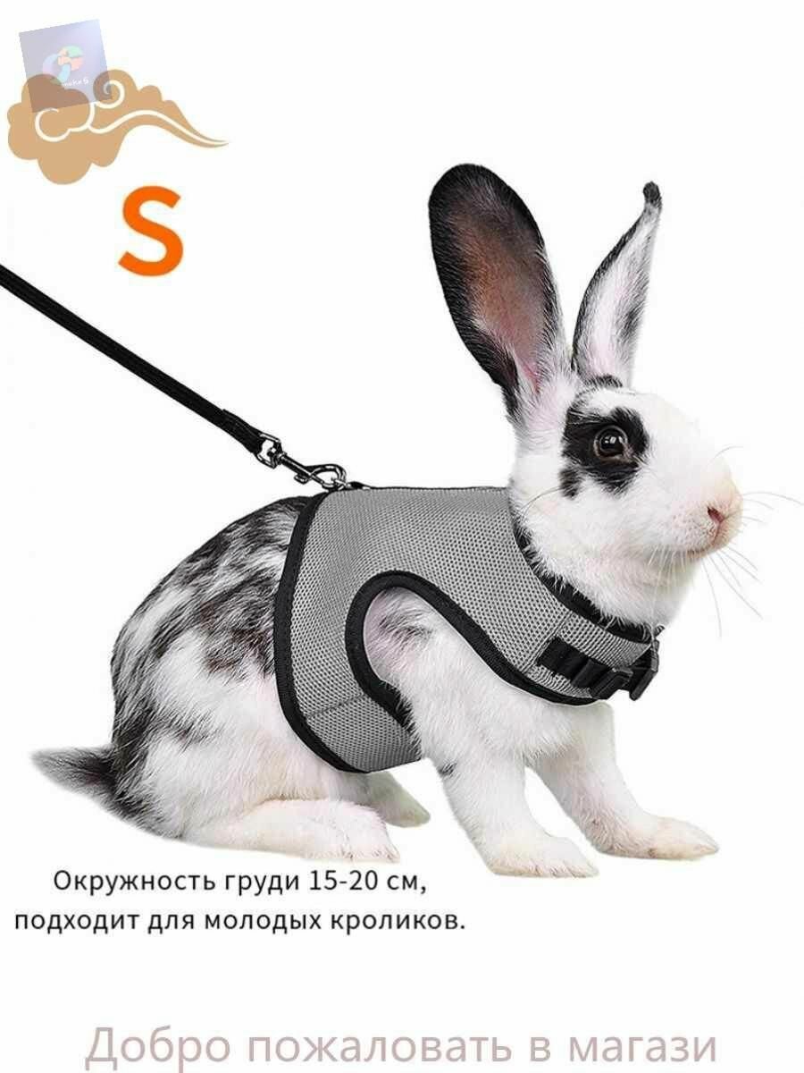 Шлейка жилетка и поводок для грызунов кроликов шиншилл кошек собак