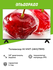 Телевизор Hi VHIT-24H179MS