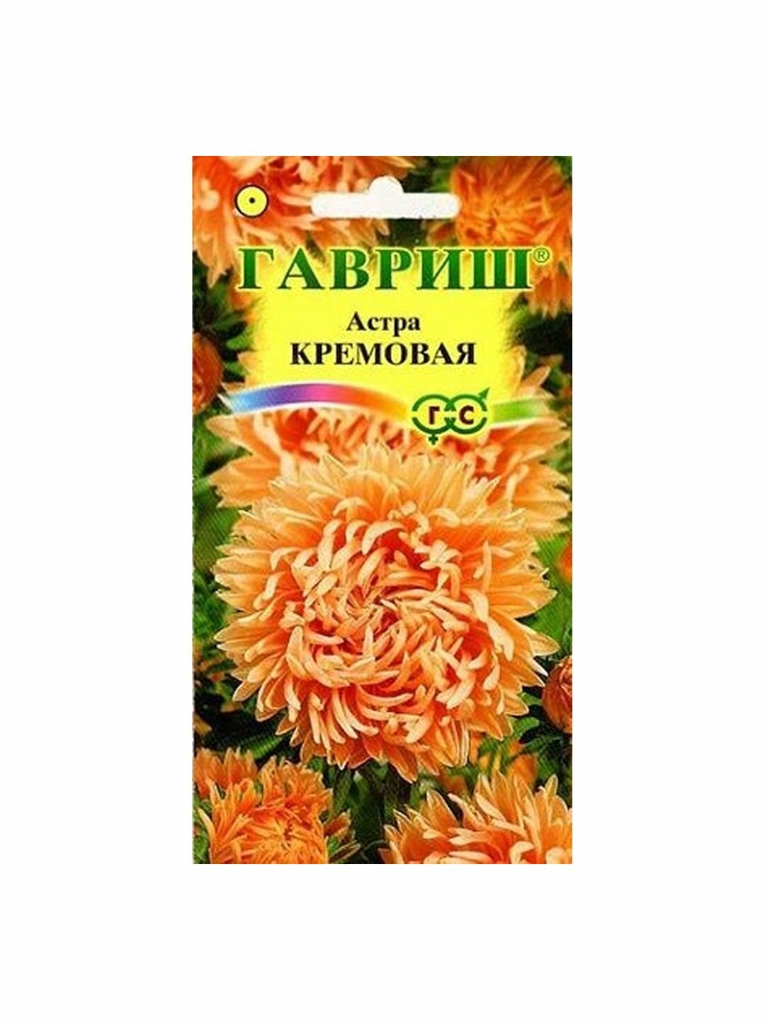 Семена Астра Кремовая пионовидная однолетник Гавриш 1 пачка - 0.3г семян