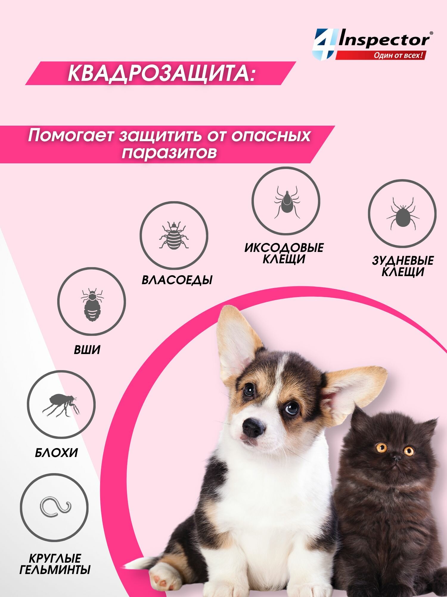 Инспектор Мини Капли от внешних и внутренних паразитов для кошек и собак 0,5-2 кг. (1 пипетки по 0,4мл) — фото 1