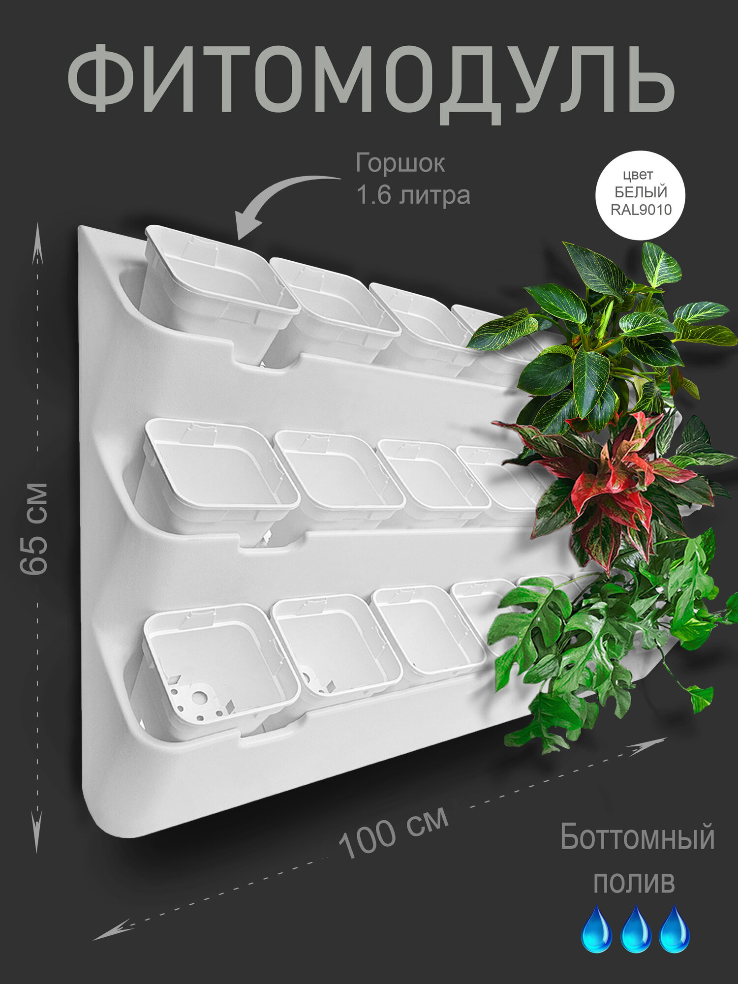 Фитомодуль 