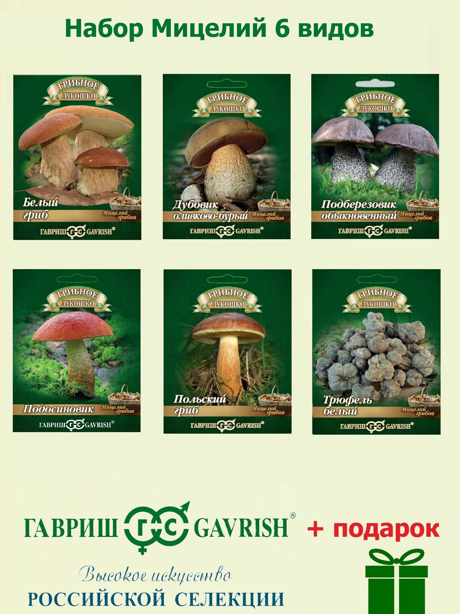 Набор Мицелий 6 видов (Белый Дубовик Подберезовик Подосиновик Польский Трюфель) на зерновом субстрате Гавриш