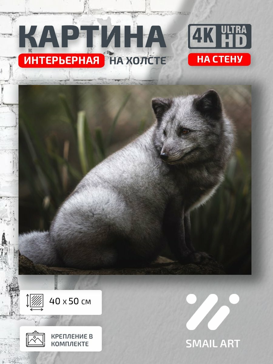 Картина на холсте интерьерная 40 на 50 на стену Взгляд Mood для гостиной атмосфера интерьер