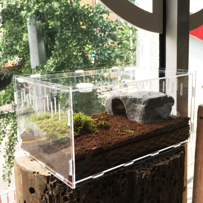 Террариум MyPads для пресноводных пресмыкающихся с термометром и гидрометром с удобной крышкой и перфорацией легкий в сборке прочная и надежная .