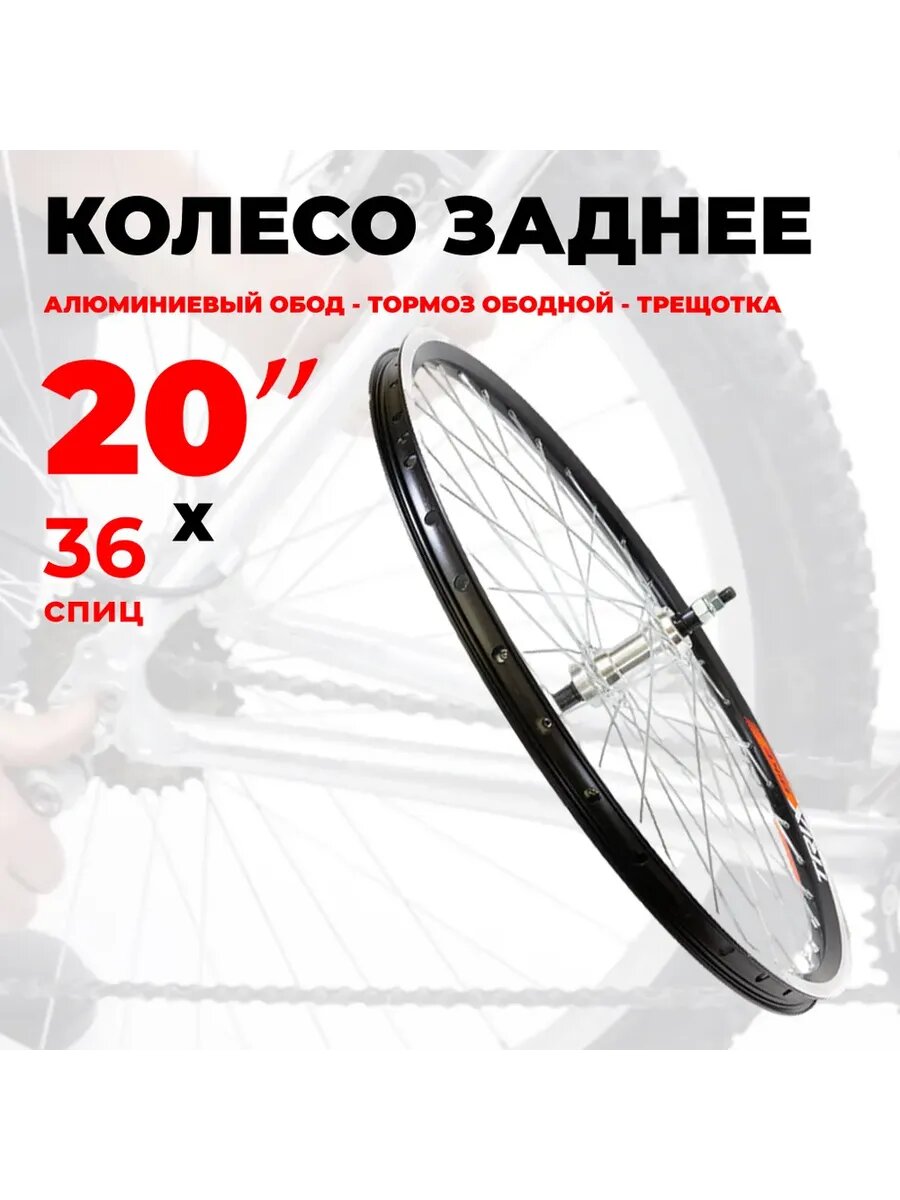 Колесо для велосипеда заднее 20", двойной обод, тормоз ободной, под трещотку, 36 спиц, под гайки, втулка серебро 14616