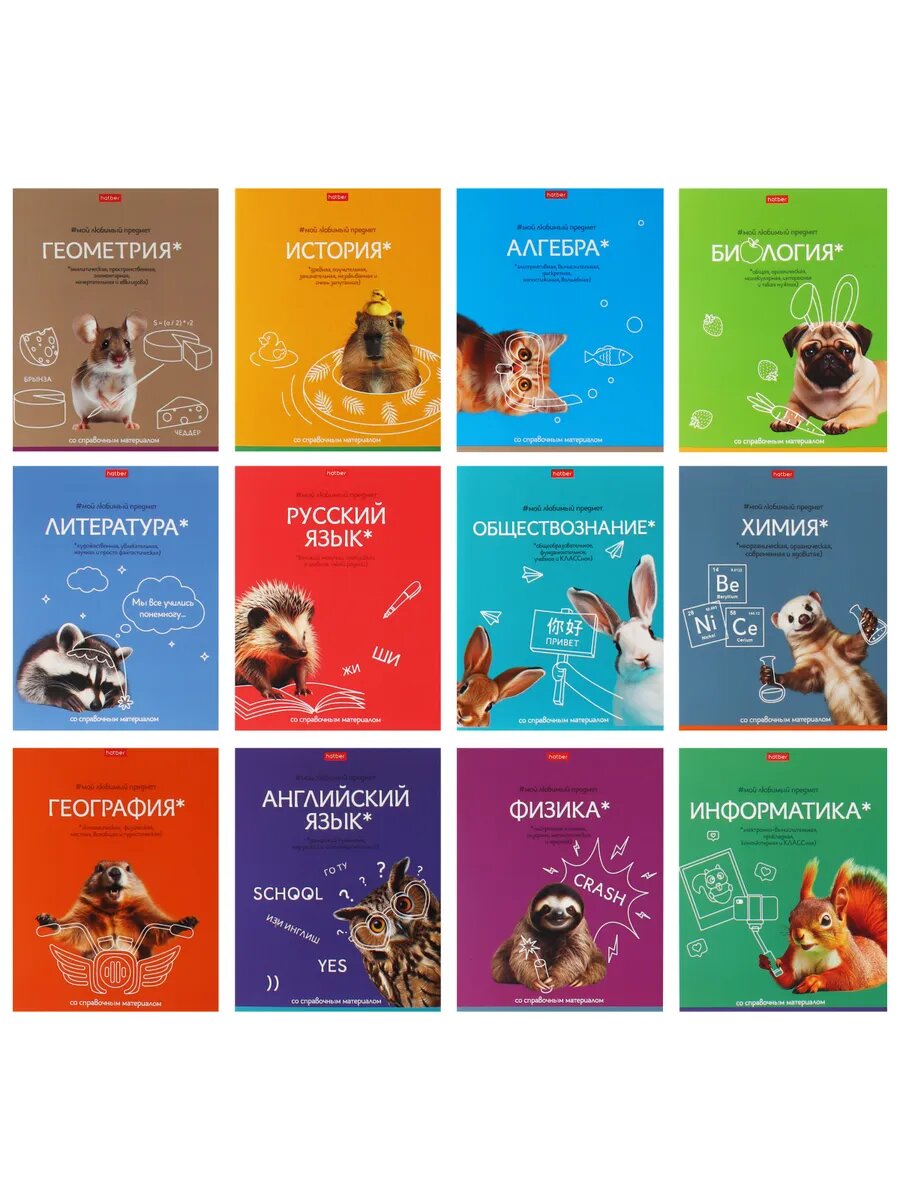 Комплект тетрадей предметных 12 шт, 48 листа - 1ед.